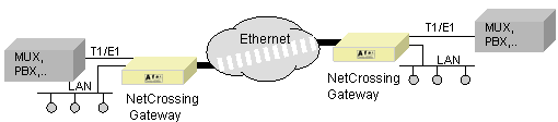 TDM over IP NetCrossing Gateway